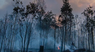 Returning to your home after a bushfire